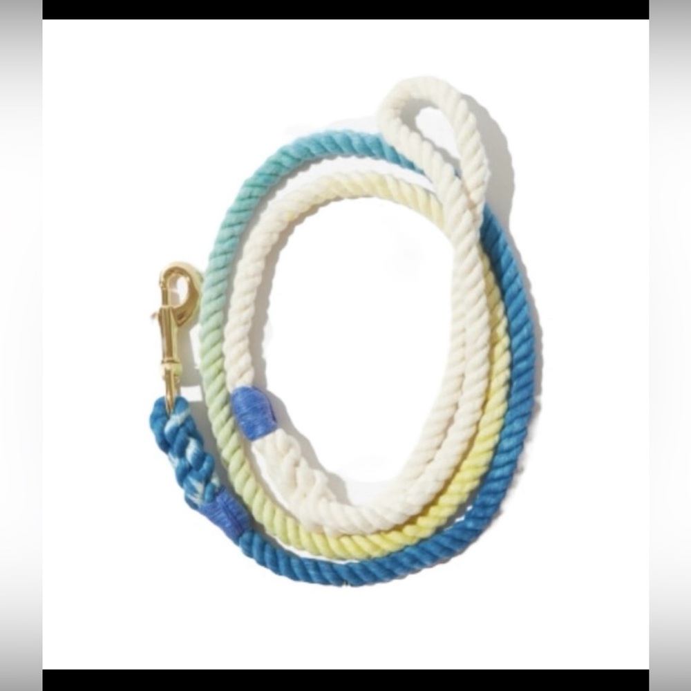 🦮 Found My Animal 4’ Ombré Dog Leash 🦮